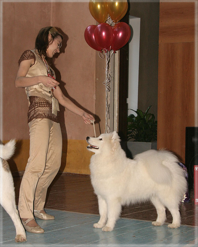 http://samoyeds.ucoz.ru/BIG-OLZ2.jpg